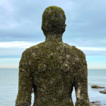 Joining The Global Crypto Transparency